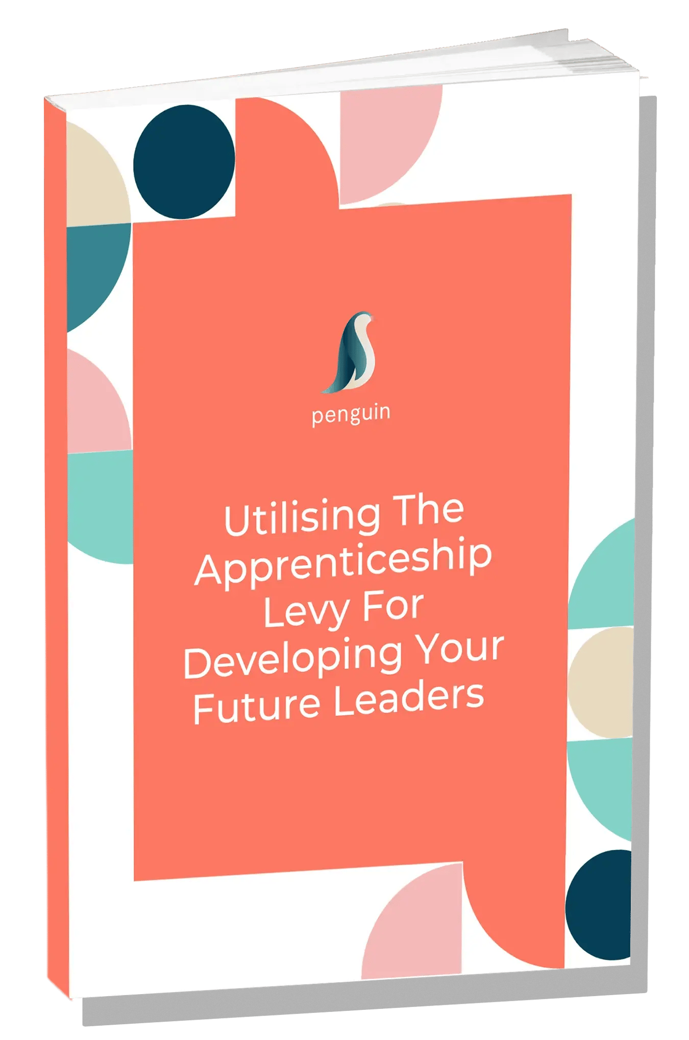 Penguin Learning Ebook Cover Guide with Shadow